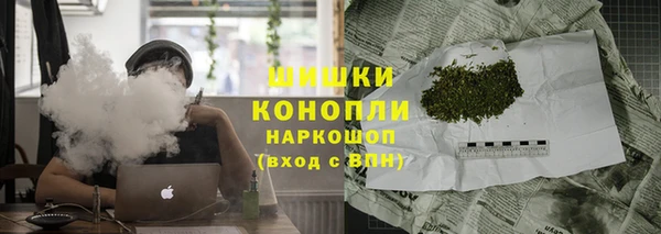 мяу мяу мука Рославль